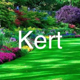 Kert